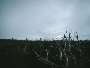 纵情山林古道 骑它个几千几百里！